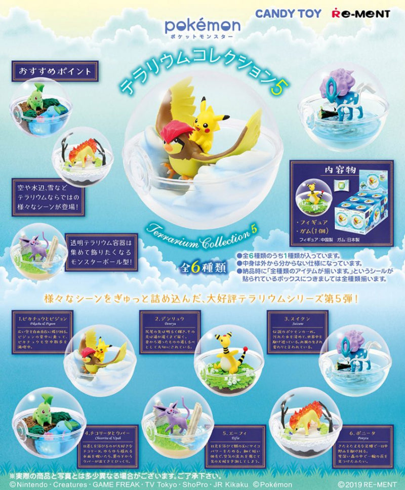 ポケットモンスター テラリウムコレクション5 – Touch-jp